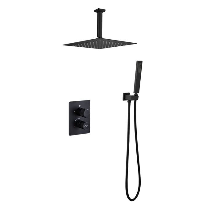 Two Functions Wall Mounted Shower Set